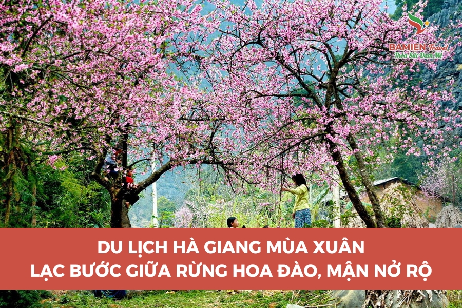 Du Lịch Hà Giang Mùa Xuân: Lạc Bước Giữa Rừng Hoa Đào, Mận Nở Rộ