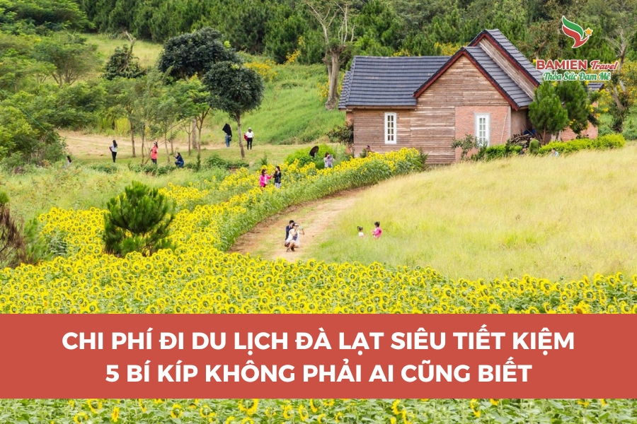Chi Phí Đi Du Lịch Đà Lạt Siêu Tiết Kiệm: 5 Bí Kíp Không Phải Ai Cũng Biết