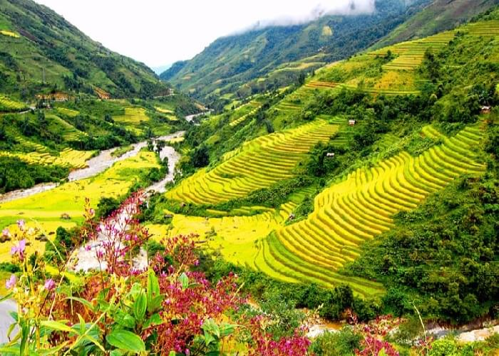 Tour Sài Gòn – Hà Nội – Sapa 4 Ngày