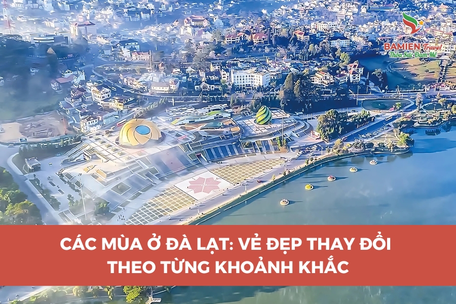 Các Mùa Ở Đà Lạt: Vẻ Đẹp Thay Đổi Theo Từng Khoảnh Khắc