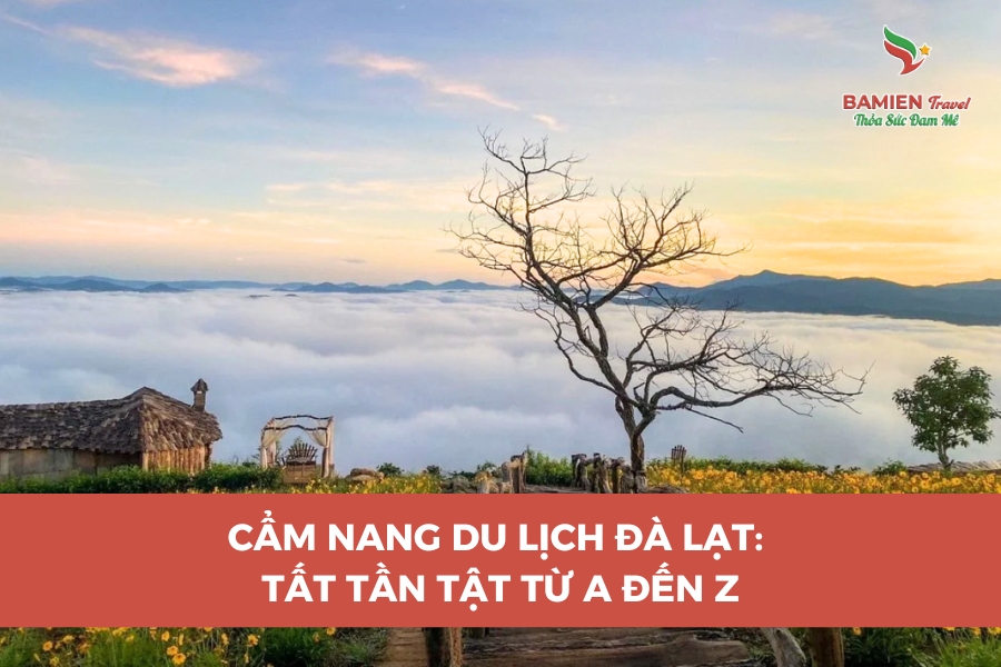 Cẩm Nang Du Lịch Đà Lạt: Tất Tần Tật Từ A Đến Z