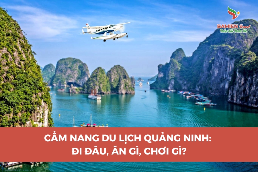 Cẩm Nang Du Lịch Quảng Ninh: Đi Đâu, Ăn Gì, Chơi Gì?