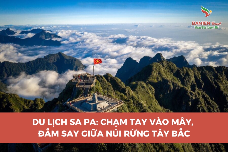 Du Lịch Sa Pa: Chạm Tay Vào Mây, Đắm Say Giữa Núi Rừng Tây Bắc