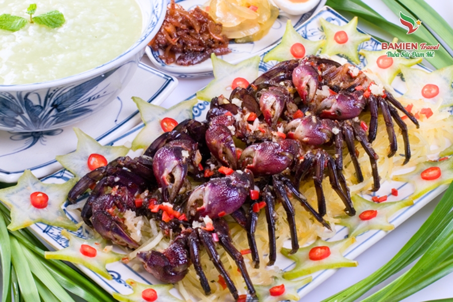 Khám Phá Du Lịch Cà Mau: Về Miền Đất Cuối Trời Tổ Quốc