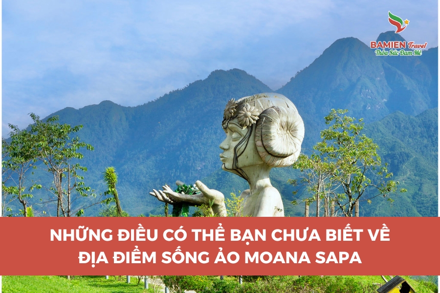 Địa Điểm Sống Ảo Moana Sapa: Những Điều Có Thể Bạn Chưa Biết