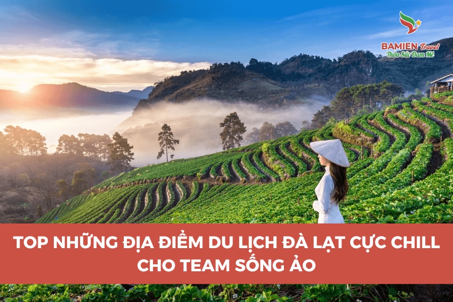 Top Những Địa Điểm Du Lịch Đà Lạt Cực Chill Cho Team Sống Ảo